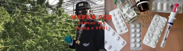 ГАЛЛЮЦИНОГЕННЫЕ ГРИБЫ Бронницы