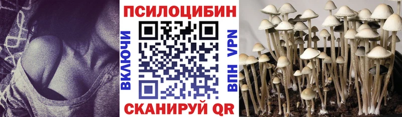 Псилоцибиновые грибы MAGIC MUSHROOMS где купить наркоту Мариинский Посад